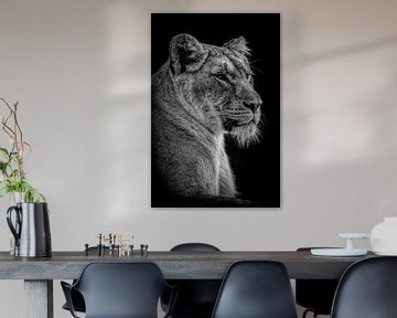 Lions : Portrait d'une belle lionne en noir et blanc