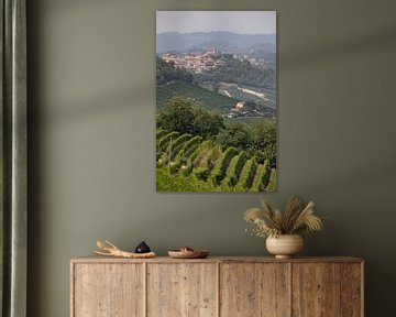 Piemont-Hügel mit Weinbergen