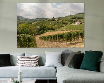 Piedmont hills with vineyards by Joost Adriaanse