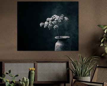 Dried hogweed in rustic vase. Executed in black and white with a blue tinge. by Henk Van Nunen Fotografie