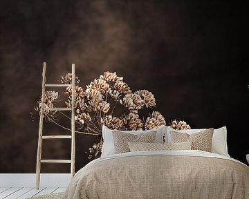Dried hogweed in a rustic vase. by Henk Van Nunen Fotografie