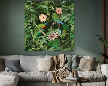 Tropenvögel im grünen Dschungel von Andrea Haase