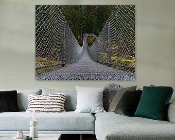 The suspension bridge by Timon Schneider