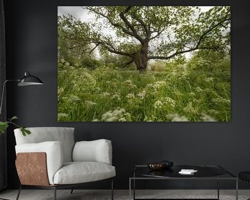 Arbre de conte de fées parmi les tourbillons sur Moetwil en van Dijk - Fotografie