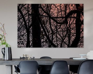 Branches sombres d'arbres contre un ciel bleu-orange sur Idema Media