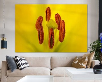 Beautiful Stampings of lily by Ghazaleh Givi