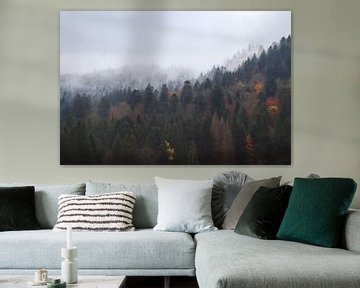 Herfst gaat over in winter, Vogezen, Frankrijk van Imladris Images