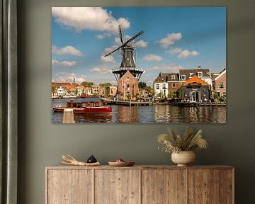 La ville de Haarlem avec l'eau et le moulin De Adriaan