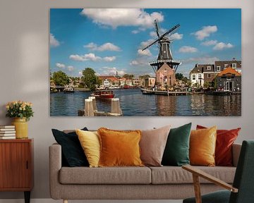De stad Haarlem met met het water en de molen De Adriaan van Jolanda Aalbers
