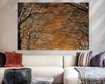 Herfstachtige rust: Een bos in kleur van Jeroen Kleiberg