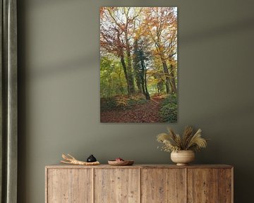 Een bospad in herfstkleuren. van Jurjen Jan Snikkenburg