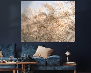 Waving reed plumes in soft light by Mayra Fotografie