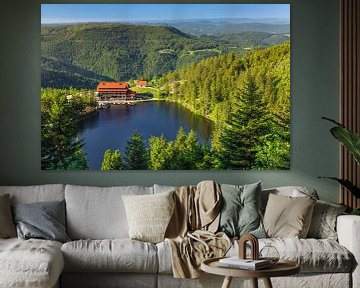 Mummelsee im Schwarzwald von Markus Lange