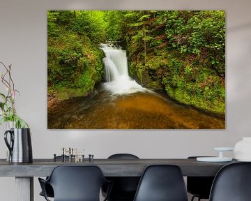 Chute d'eau de Geroldsau, Forêt-Noire, Allemagne sur Markus Lange