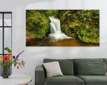 Chute d'eau de Geroldsau, Forêt-Noire, Allemagne sur Markus Lange