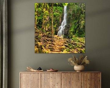 Waterfall in the Black Forest by Markus Lange