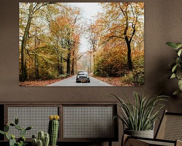 Oldtimer Mini Cooper op de weg in een herfstbos | Veluwe, Nederland