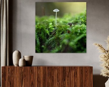 mushroom by Nienke Planken