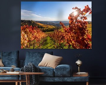 Vineyards near Stuttgart-Rotenberg in autumn by Werner Dieterich