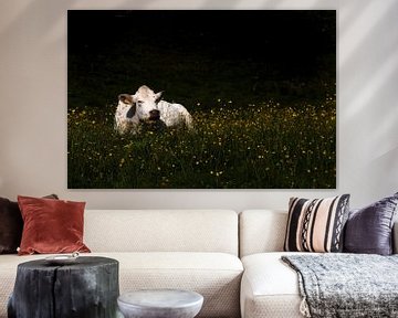 Koe in de bloemen van Jolieke