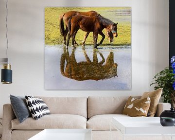Spiegeling in nat weiland by ton vogels