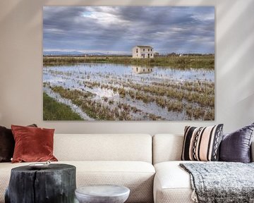 Haus in den Reisfeldern von Albufera von Frans Nijland