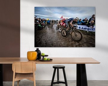 Paris - Roubaix, Mathieu van der Poel van Leon van Bon