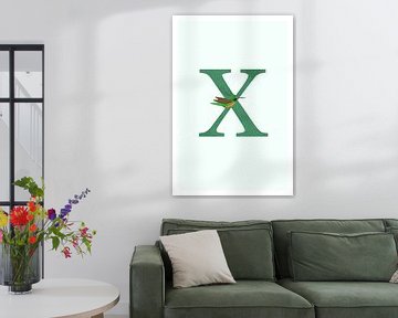 Alphabet X von Walljar