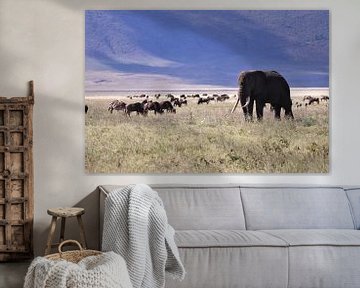 Der Elefant in der Savanne von Bart van Mastrigt