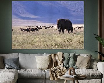De olifant op de savanne van Bart van Mastrigt