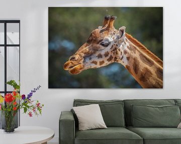giraffe van Danny Akkermans photographic works.