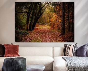 De magische kleuren van de herfst in de Kalmthoutse heide. van Made by Voorn