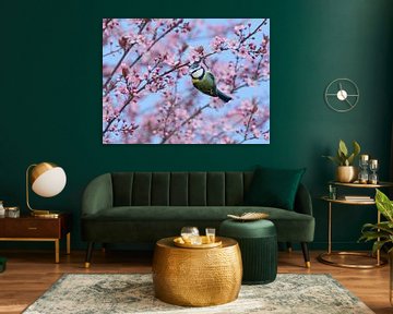 Blue Tit Bird in Pink Cherry Blossoms