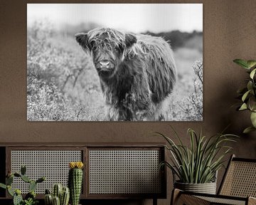 Young Scottish Highlander in black and white by Dirk van Egmond