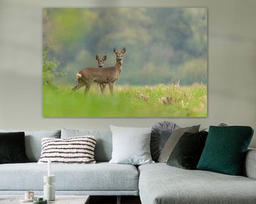 Three Deer by Ruben Van Dijk