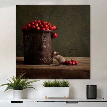 Rode appeltjes van Carolien van Schie