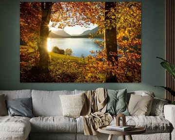 Herfst aan het Sylvenstein Reservoir van Martin Wasilewski