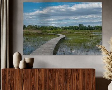 Empese en Tondense Heide. van Michel Hol