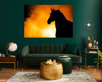 Fiery Contours - Fine art portrait of a horse by Femke Ketelaar