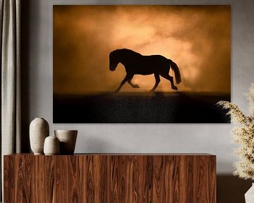 trotting horse fine art execution by Femke Ketelaar