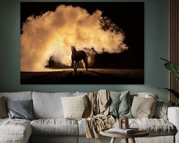 Horse running towards you through the smoke by Femke Ketelaar