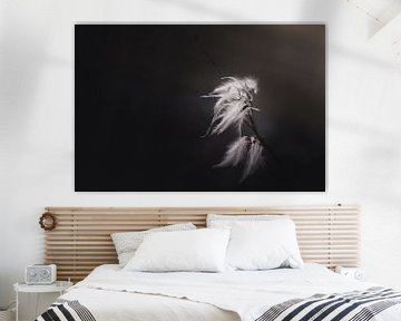 Feather branch van Sandra Hazes