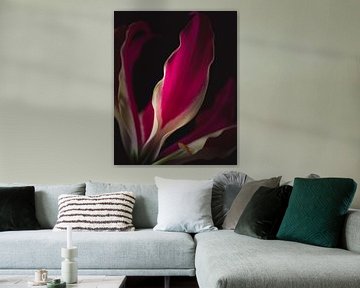 Flame lily flower leaf dark & moody van Sandra Hazes