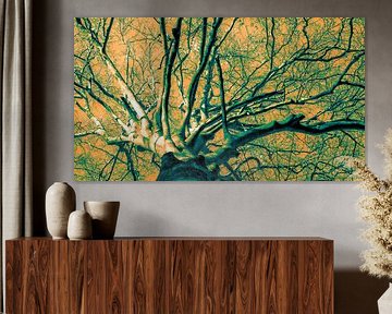 Orangenbaum