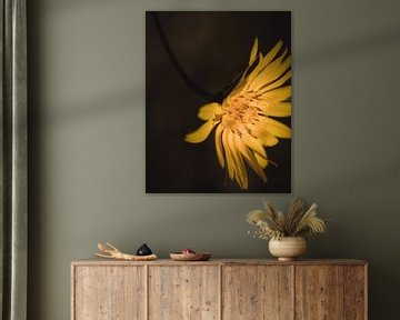 Yellow flower dark & moody van Sandra Hazes