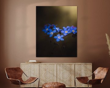 Forget Me Not Heart van Sandra Hazes