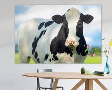 Portret van een nieuwsgierige koe van Peter Heeling