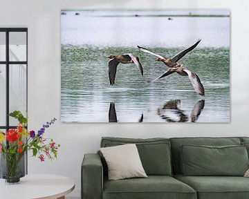 Flying ducks by Inge Verbeem