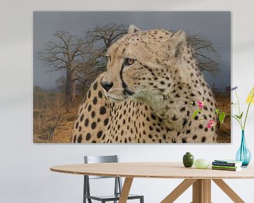 Cheeta, jachtluipaard. Afrika van Gert Hilbink