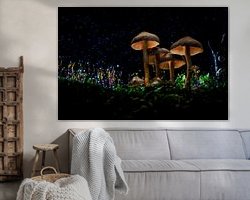 Aperçu de la chambre